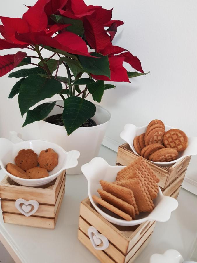 로즈 안티케 바티칸 B&B 로마 외부 사진